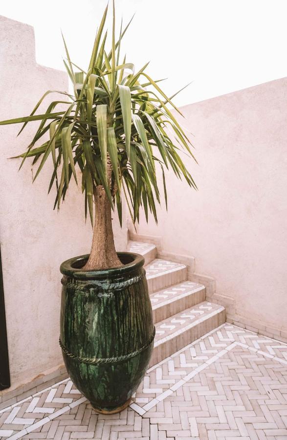 Hotel Oasis ダフラ エクステリア 写真